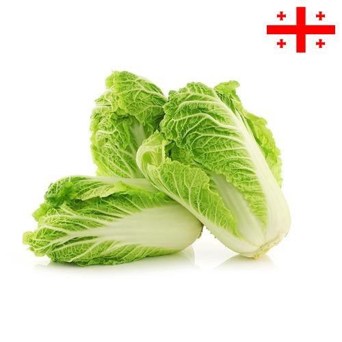 капуста пекинская из Грузии