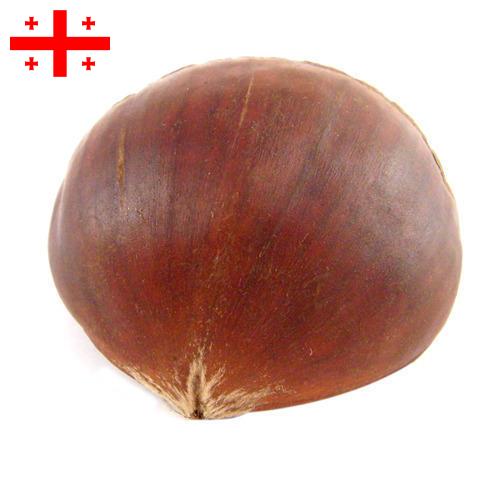 Каштан из Грузии