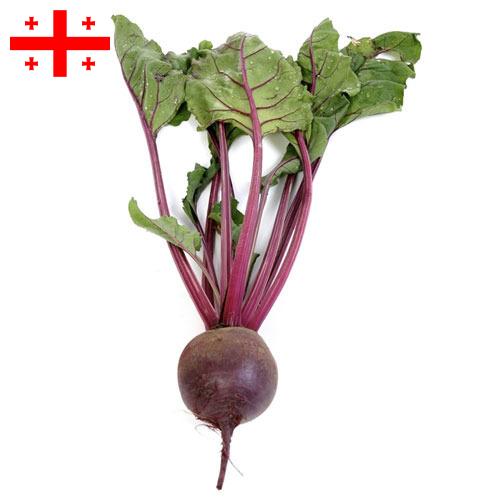 Свекла столовая из Грузии