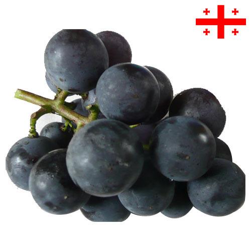 виноград столовый из Грузии