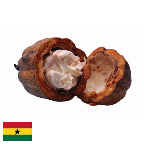 Какао масло из Ганы