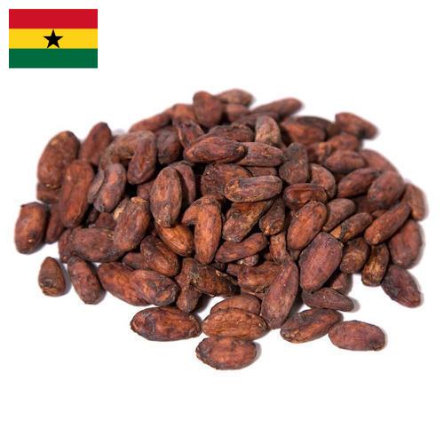 какао-бобы из Ганы