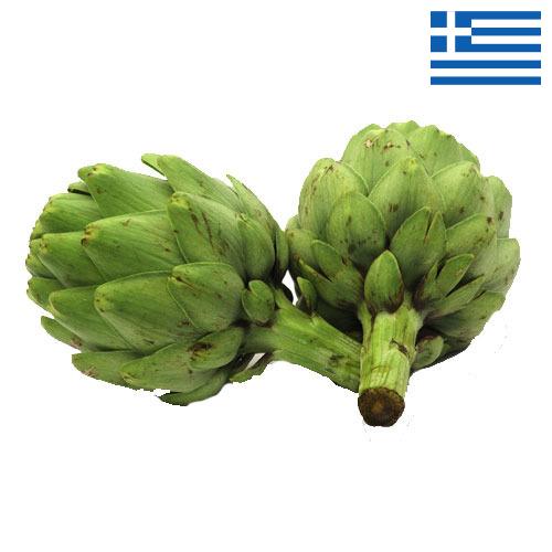 артишок из Греции