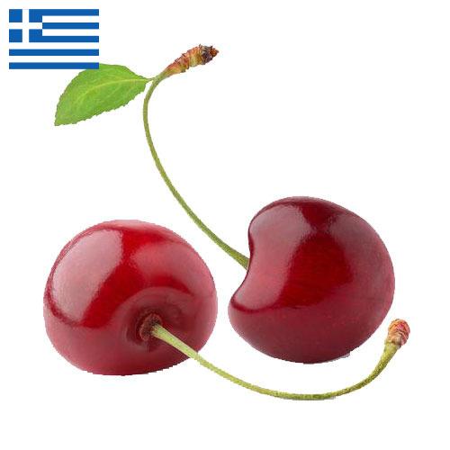 Черешня из Греции