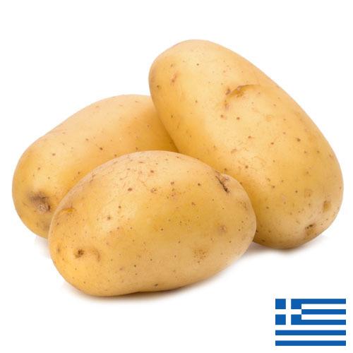 картошка из Греции