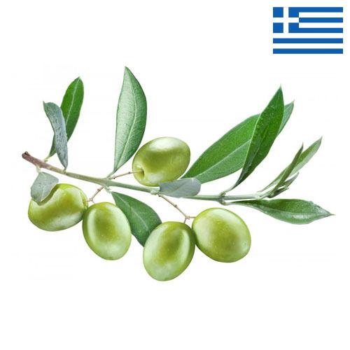 Маслины из Греции