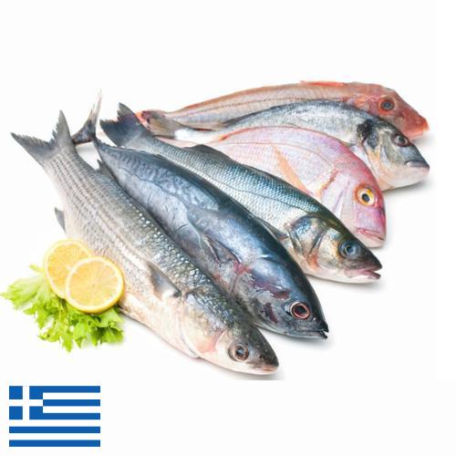 рыба и морепродукты из Греции