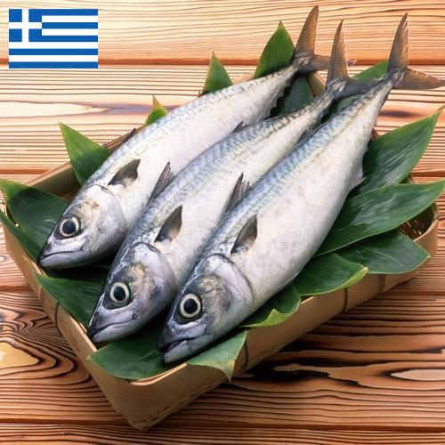 рыба свежая из Греции