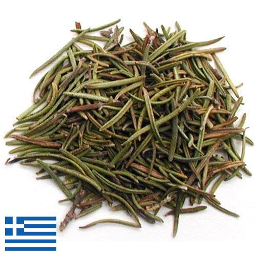 зелень сушеная из Греции