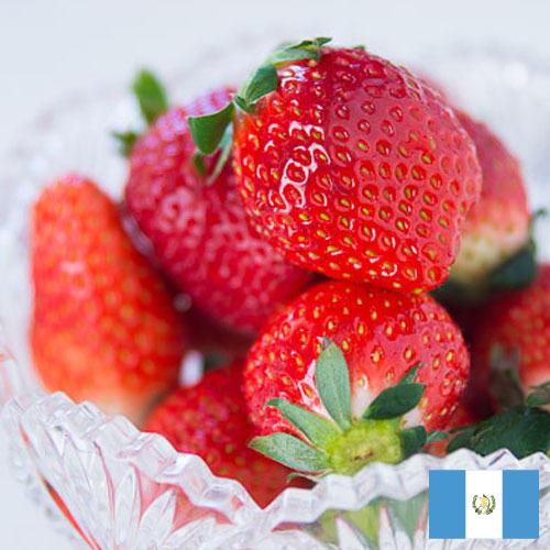 клубника замороженная из Гватемалы