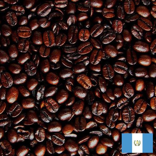 кофе жареный из Гватемалы