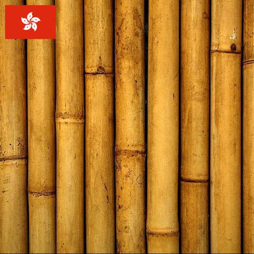 Бамбук из Гонконга