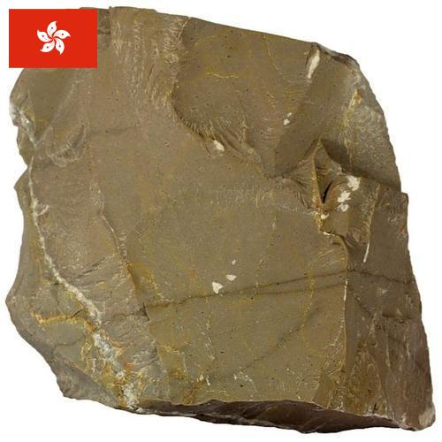 Известняк из Гонконга