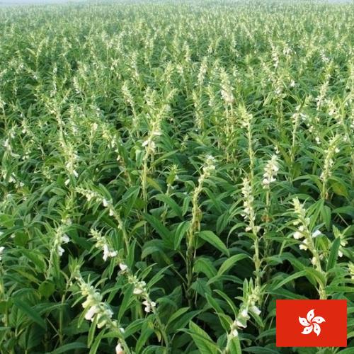 Кунжут из Гонконга