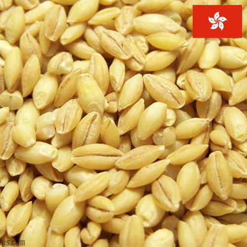 Ячмень из Гонконга