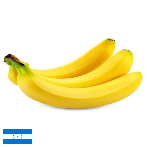Бананы из Гондураса