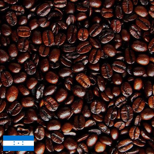 кофе жареный из Гондураса