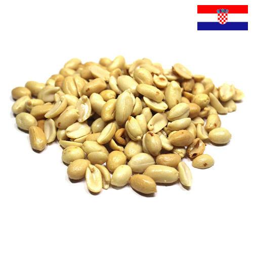 арахис бланшированный из Хорватии