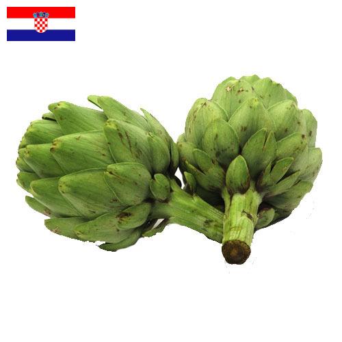 артишок из Хорватии