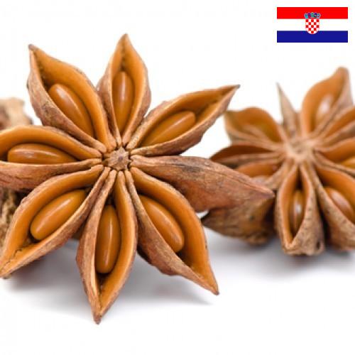 Бадьян из Хорватии