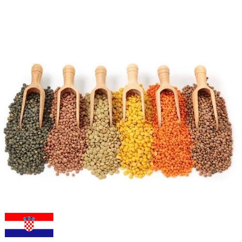 Бобовые культуры из Хорватии