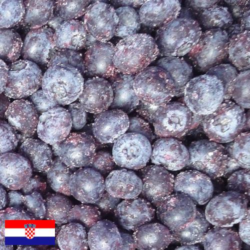 черника замороженная из Хорватии