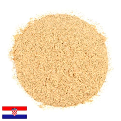 чеснок порошок из Хорватии