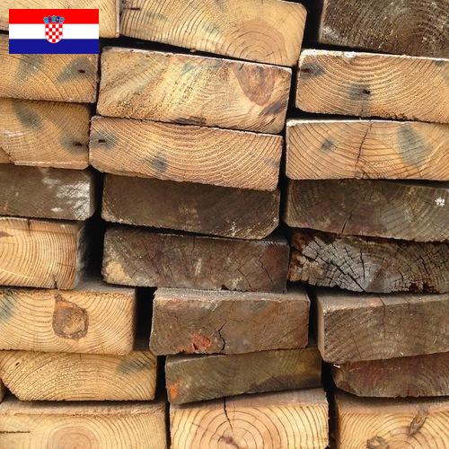 дерево из Хорватии