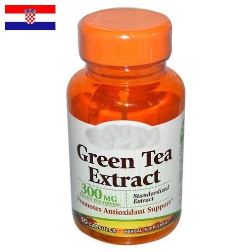 экстракт зеленого чая из Хорватии