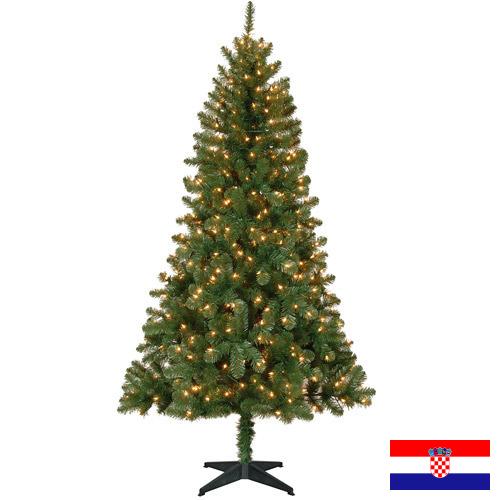 Елки новогодние из Хорватии
