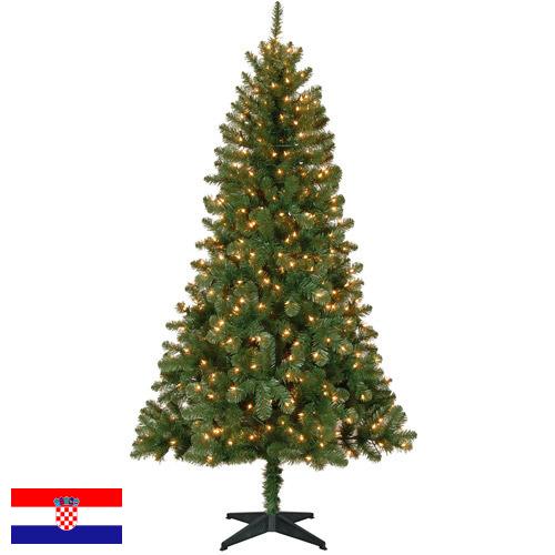 елки из Хорватии