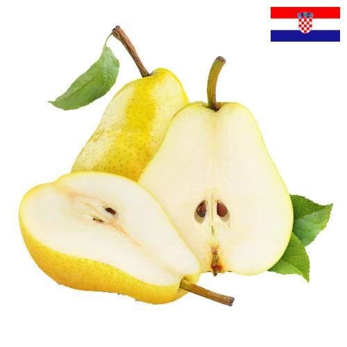Груши из Хорватии