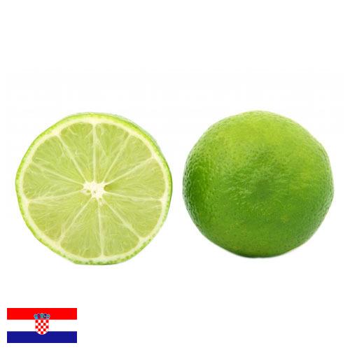 Известь из Хорватии