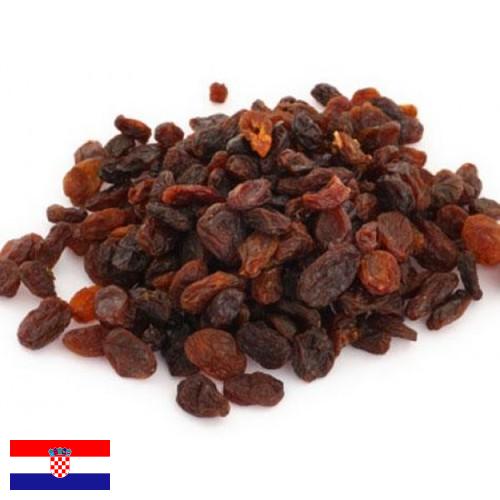 Изюм из Хорватии