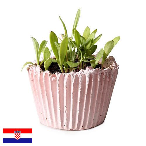 Кашпо из Хорватии