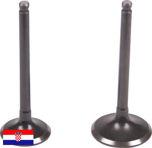 Клапан выхлопной из Хорватии