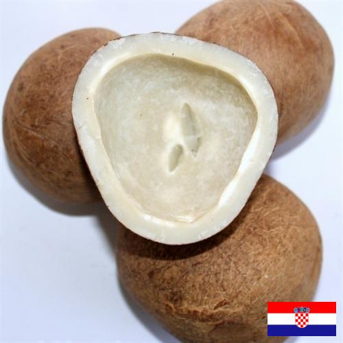 Кокос сушеный из Хорватии