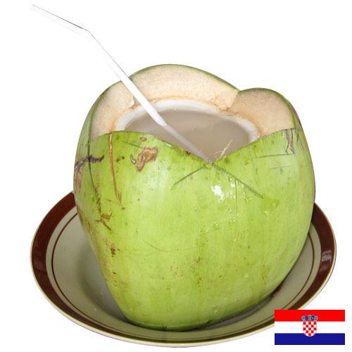 кокосовая вода из Хорватии