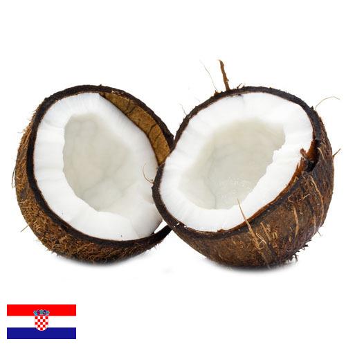 Кокосы из Хорватии