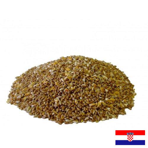 Корма для птицеводства из Хорватии