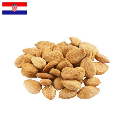 косточки абрикоса из Хорватии