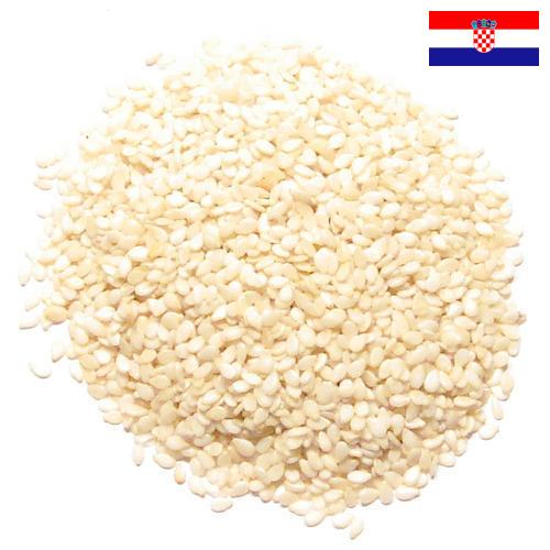 кунжут семена из Хорватии