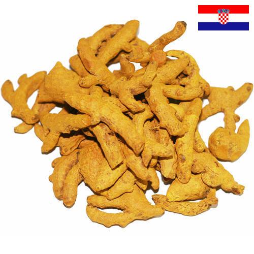 Куркума из Хорватии