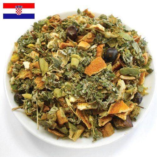 Лекарственные травы из Хорватии