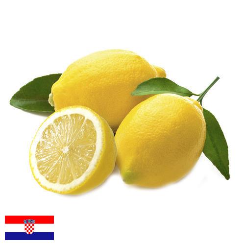 лимон свежий из Хорватии