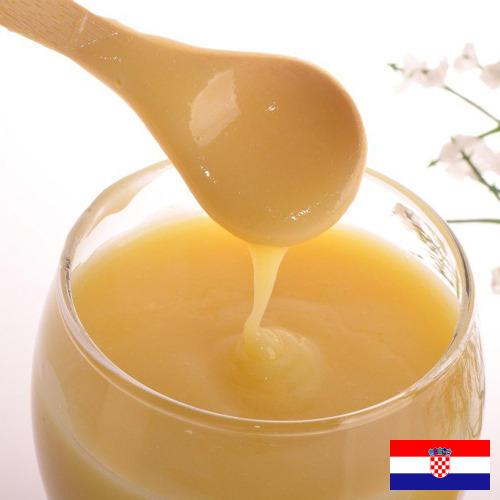 Маточное молочко из Хорватии