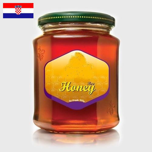 мед натуральный из Хорватии
