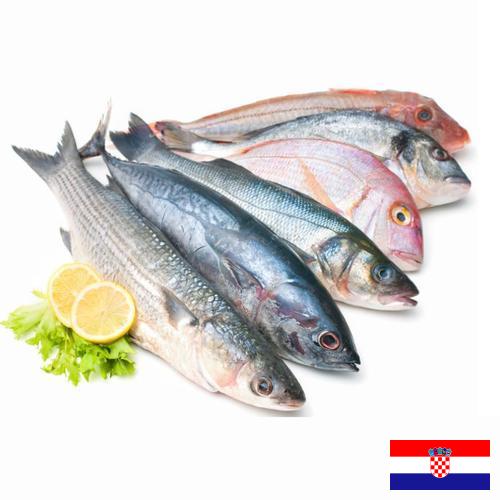 Морепродукты из Хорватии