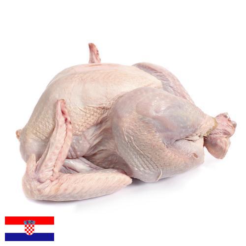 Мясо индейки из Хорватии