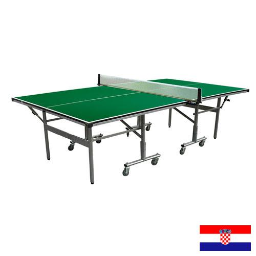 Настольный теннис из Хорватии